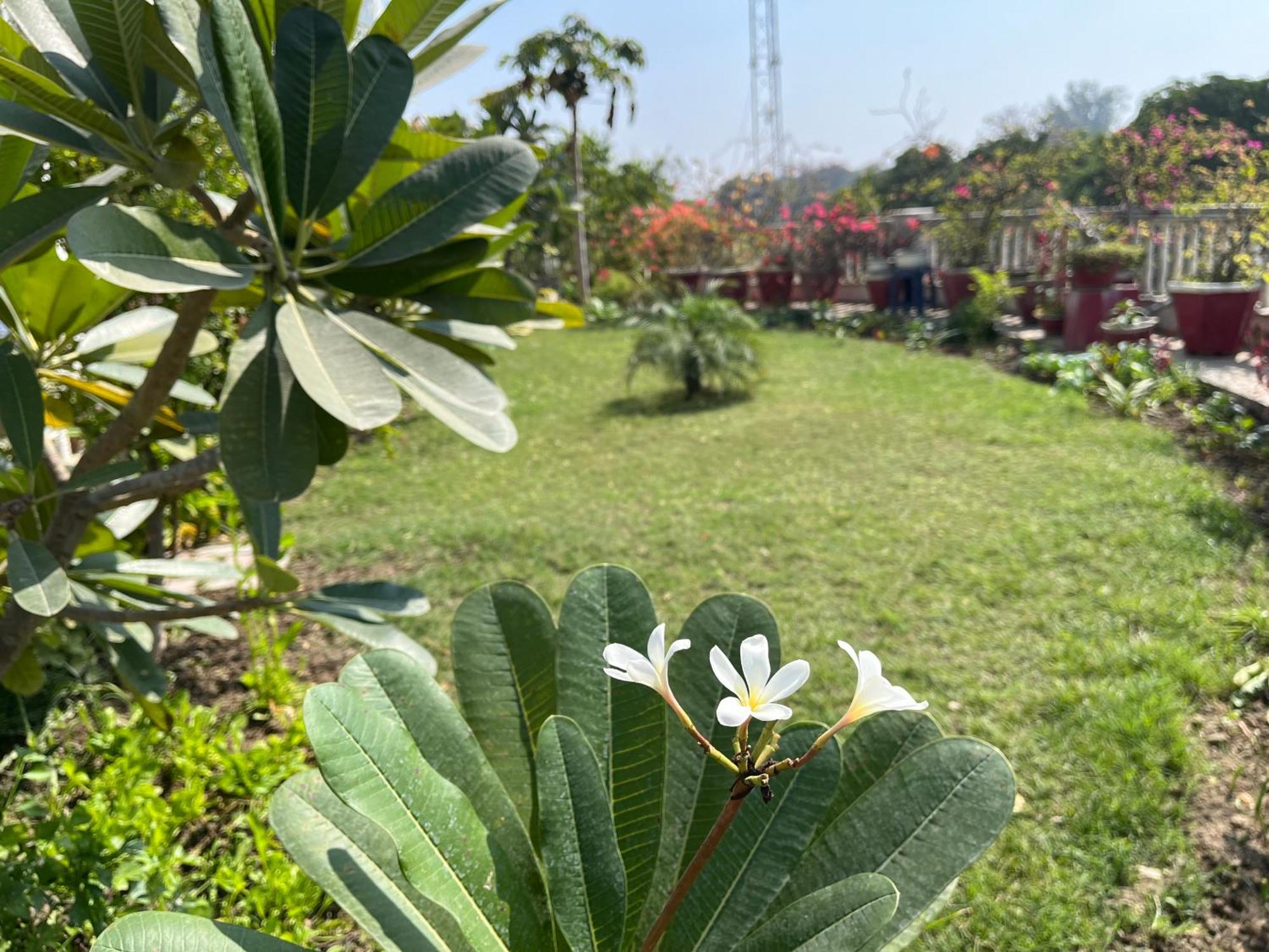 Hotel Mulberry Garden Waranasi Zewnętrze zdjęcie